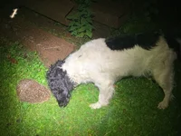 IMG_9642.jpeg
