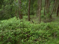 PICT0073.webp