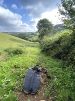 2021-10-09 11.03.58.webp