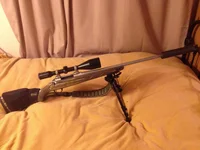 image.webp