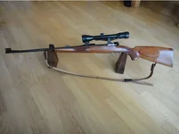 rifle.webp
