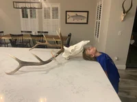 Skull mount.webp