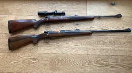 pair of African rifles.webp