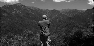 looking over deer country.webp
