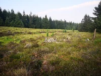 IMG_20210702_201459.webp