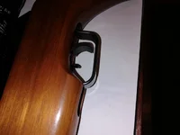 trigger shoe.webp