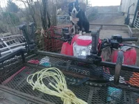 IMG_20220129_161834.webp IMG_20220129_161834.webp