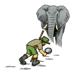 Tracker in colour.png