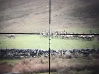 A774D0E8-9E2B-4E6E-A0C6-14AB15601BAD.jpeg