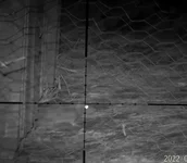 04AAE675-4EFB-4C4F-B52C-77B0870A19F4.jpeg