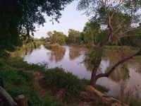 20220324_055743.webp