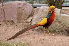1650544519646.webp