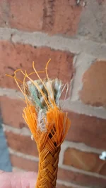 IMG_20220629_181910_0.webp