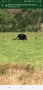 Screenshot_20221002-003833_Video Player.webp