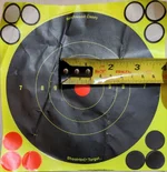 Size_reference_for_target.webp