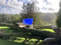63D4D5D3-6162-43EA-BA23-FADEB5D380C8.webp