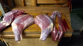 IMG-20221205-WA0008.webp