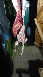 IMG-20221205-WA0004.webp