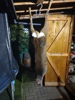 20221205_173020.webp
