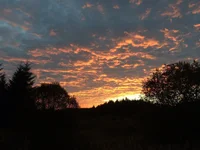image.webp
