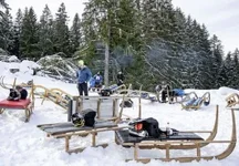Hornschlitten.webp