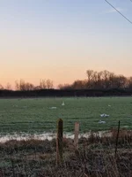 20230121_080715.webp
