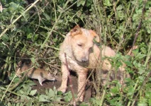 IMG_0003 (2).webp