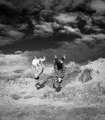 2174B65B-F759-4682-B705-120548D57236.webp