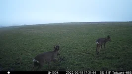 IM_00023 - Copy (3).webp