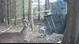 IM_00020 - Copy.webp