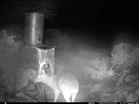 IM_00018 - Copy (2).webp