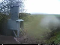 IM_00024 - Copy (2).webp