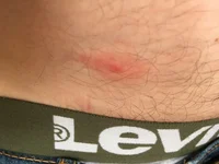 B4E2FC28-3E25-4494-8A22-6C62678CA98A.webp