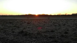 IMAG0005.webp