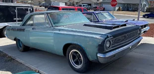coronet1 (2).webp