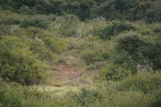 SA and Mauritius 2013 562.webp
