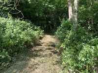 IMG_6543.webp IMG_6543.webp
