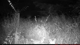 IM_00042 - Copy (2).webp