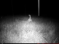 IM_00003 - Copy (4).JPG