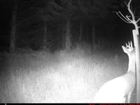 IM_00014 - Copy (2).webp