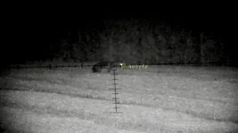 Wraith 400yds.jpeg