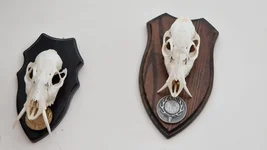 WhatsApp Image 2023-09-27 at 16.19.25.webp