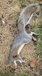 IMG-20230928-WA0006.webp
