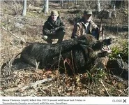 nc-boar-707lb-sm.webp