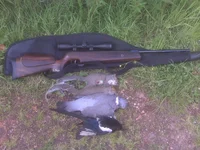 IMG_0030.webp IMG_0030.webp