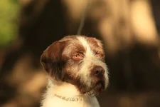 sammy f2.8 300mm.webp