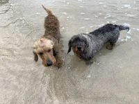 IMG_2713.jpeg