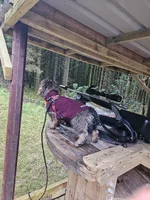 20231213_151356.webp