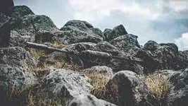 Unknown-2.webp