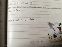IMG_1957.jpeg